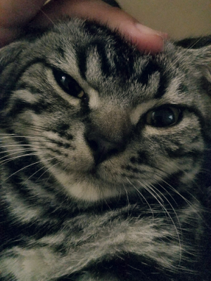 是帅，还是酷？